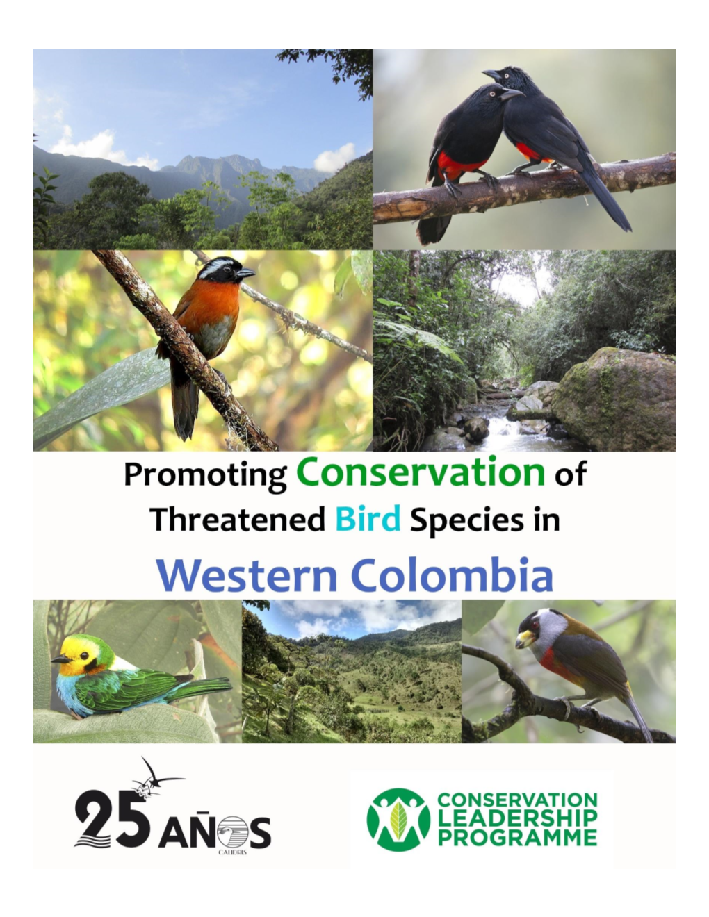 Promoting Conservation of Threatened Birds in Western Colombia