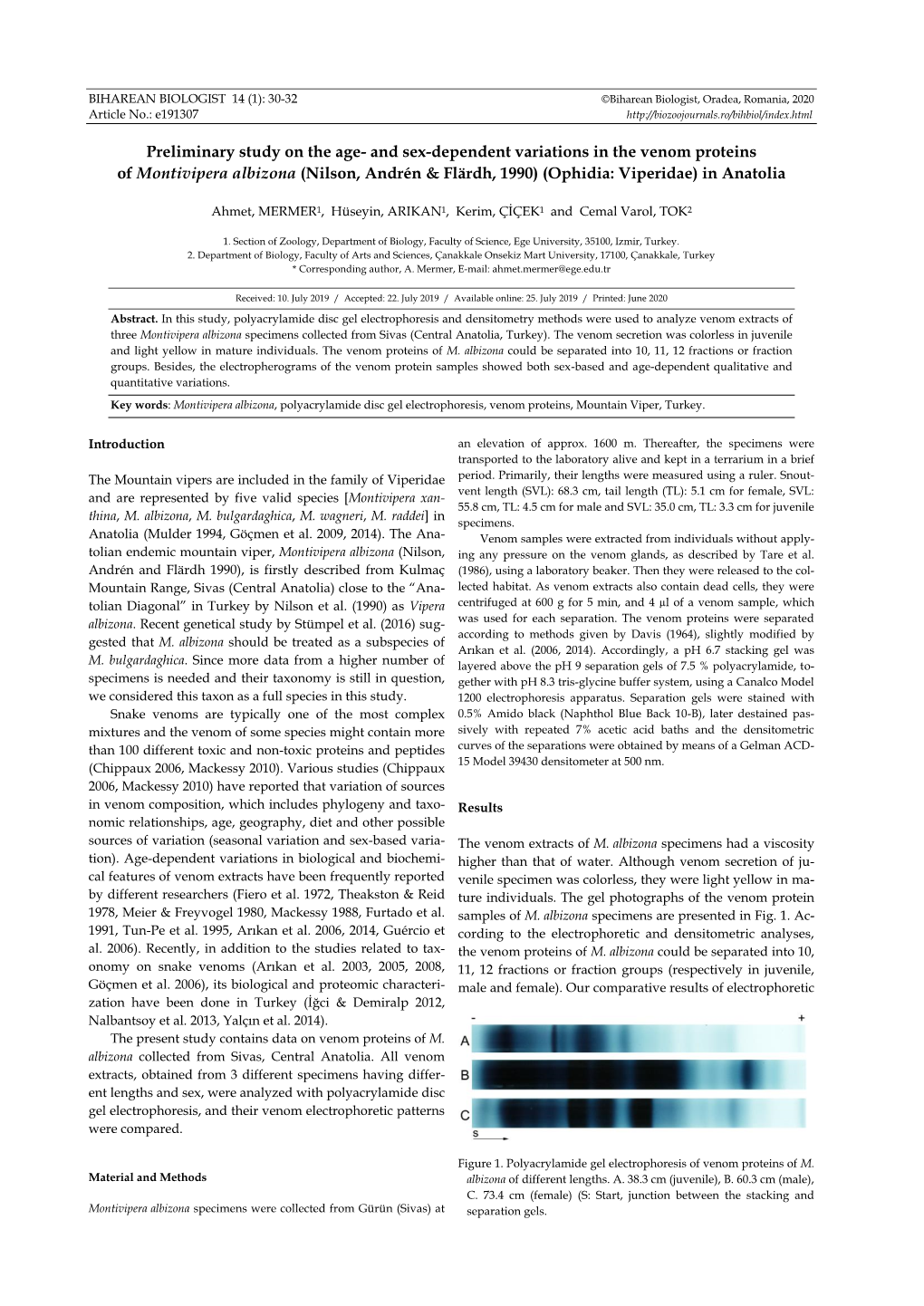 And Sex-Dependent Variations in the Venom Proteins of Montivipera Albizona (Nilson, Andrén & Flärdh, 1990) (Ophidia: Viperidae) in Anatolia