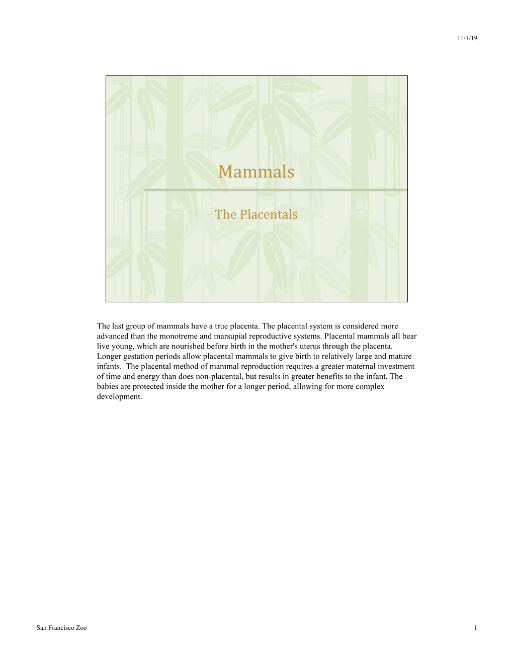 The Last Group of Mammals Have a True Placenta. the Placental System Is Considered More Advanced Than the Monotreme and Marsupial Reproductive Systems