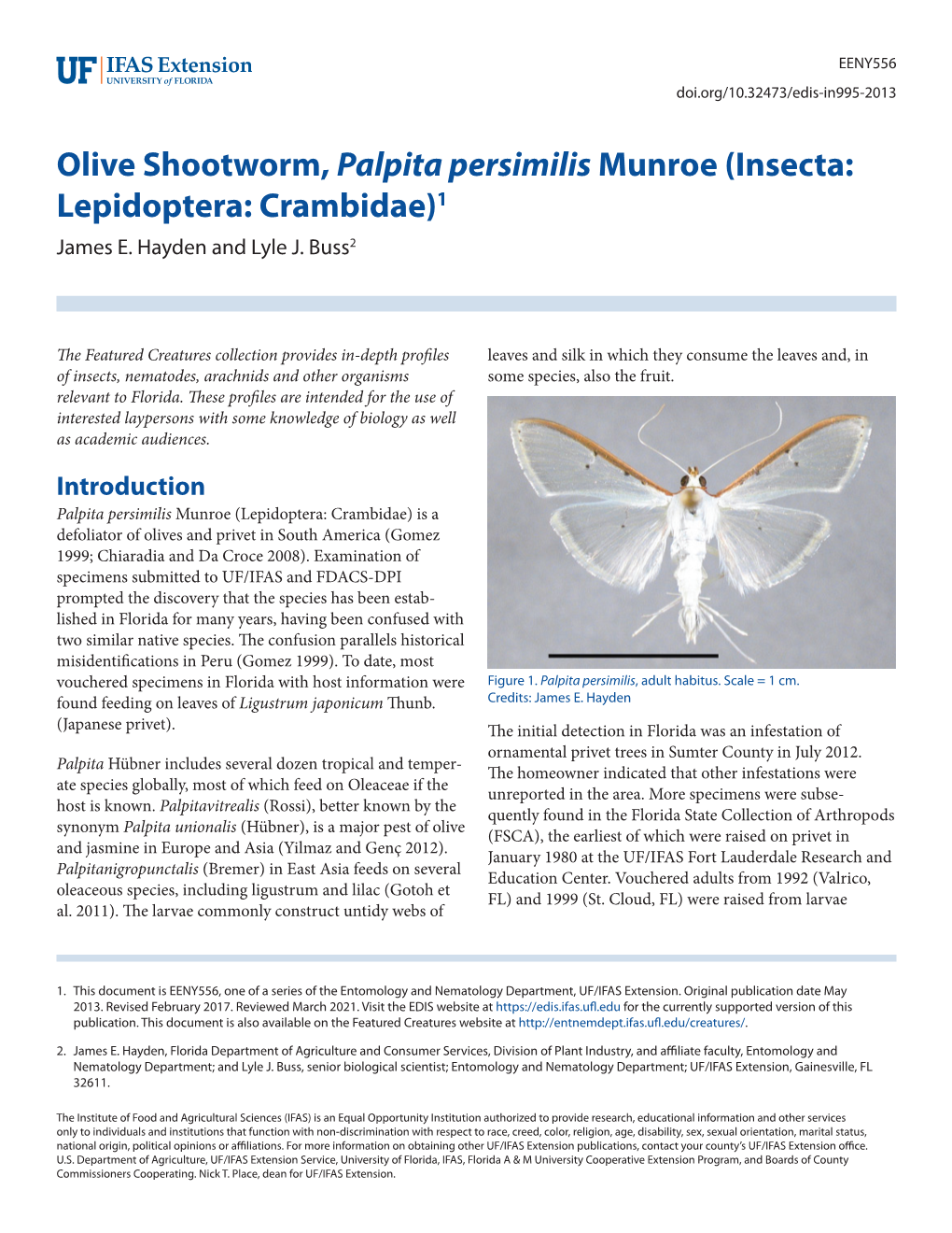 Olive Shootworm, Palpita Persimilis Munroe (Insecta: Lepidoptera: Crambidae)1 James E