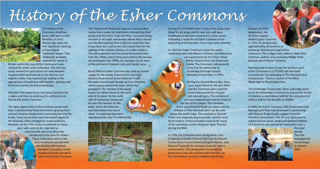 Exploring the Esher Commons Part 1