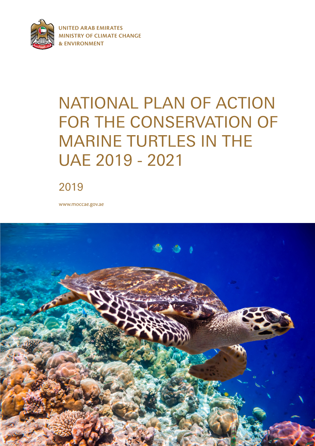 National Plan of Action for the Conservation of Marine Turtles in the UAE 2019 - 2021