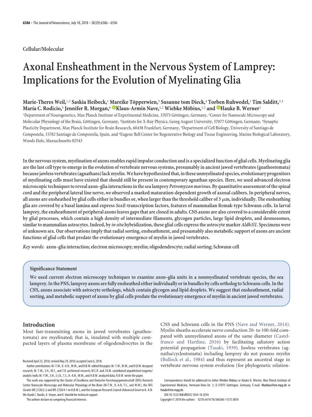 Implications for the Evolution of Myelinating Glia