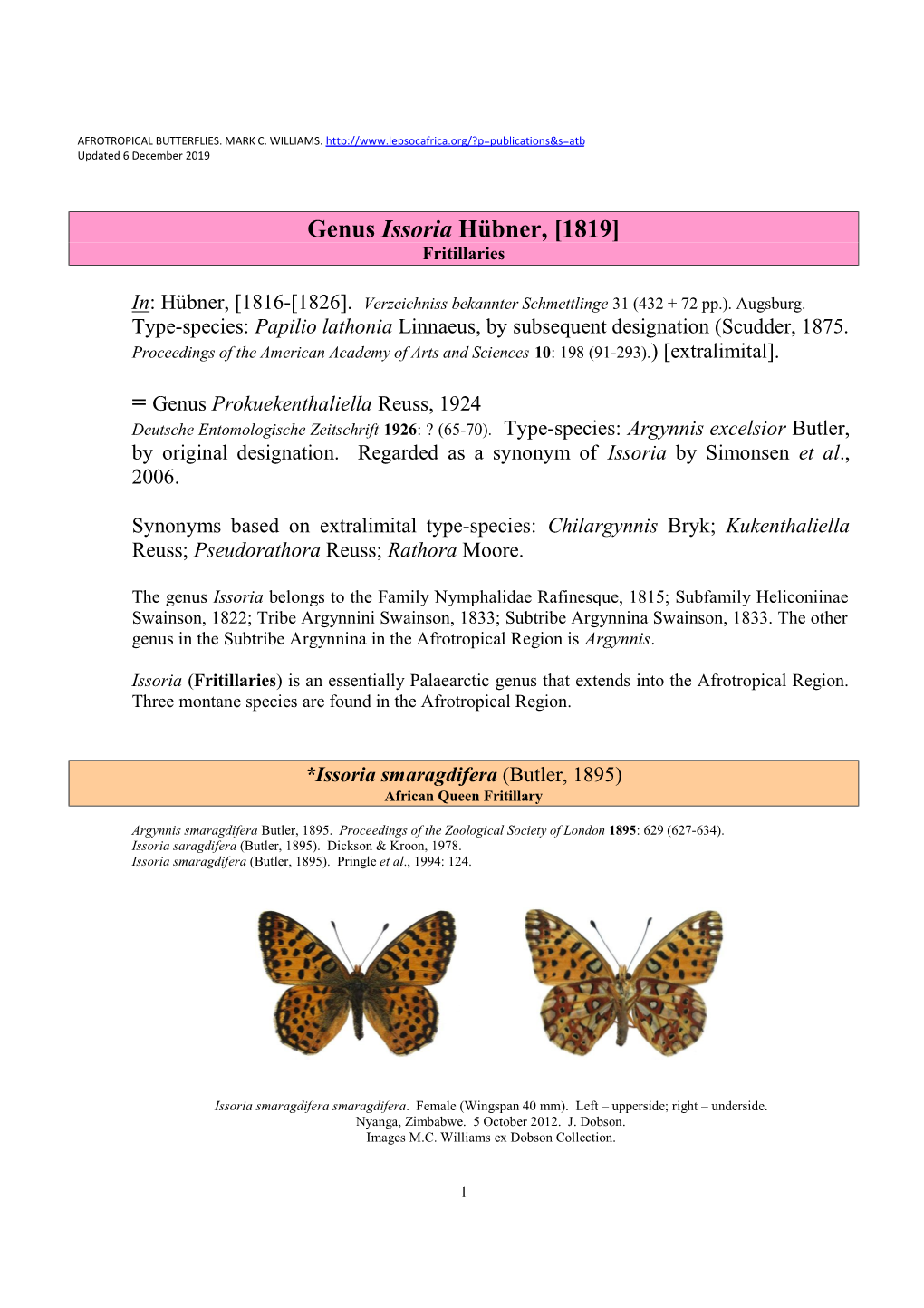 341 Genus Issoria Huebner