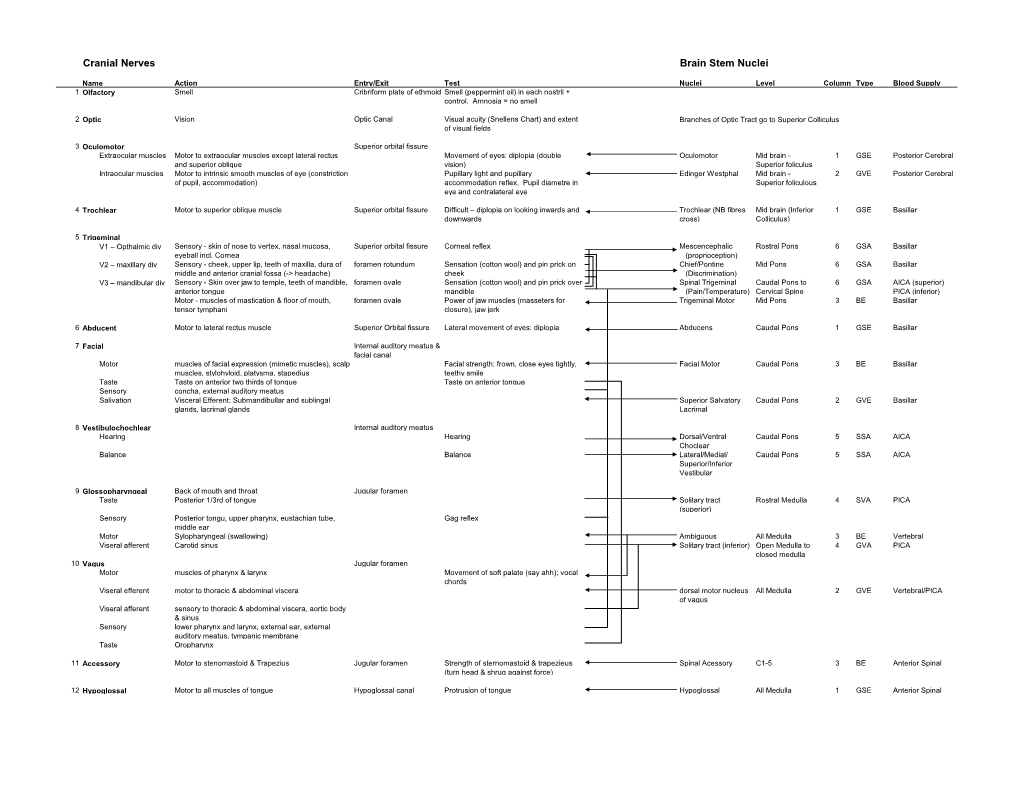 Cranial Nerves Brain Stem Nuclei