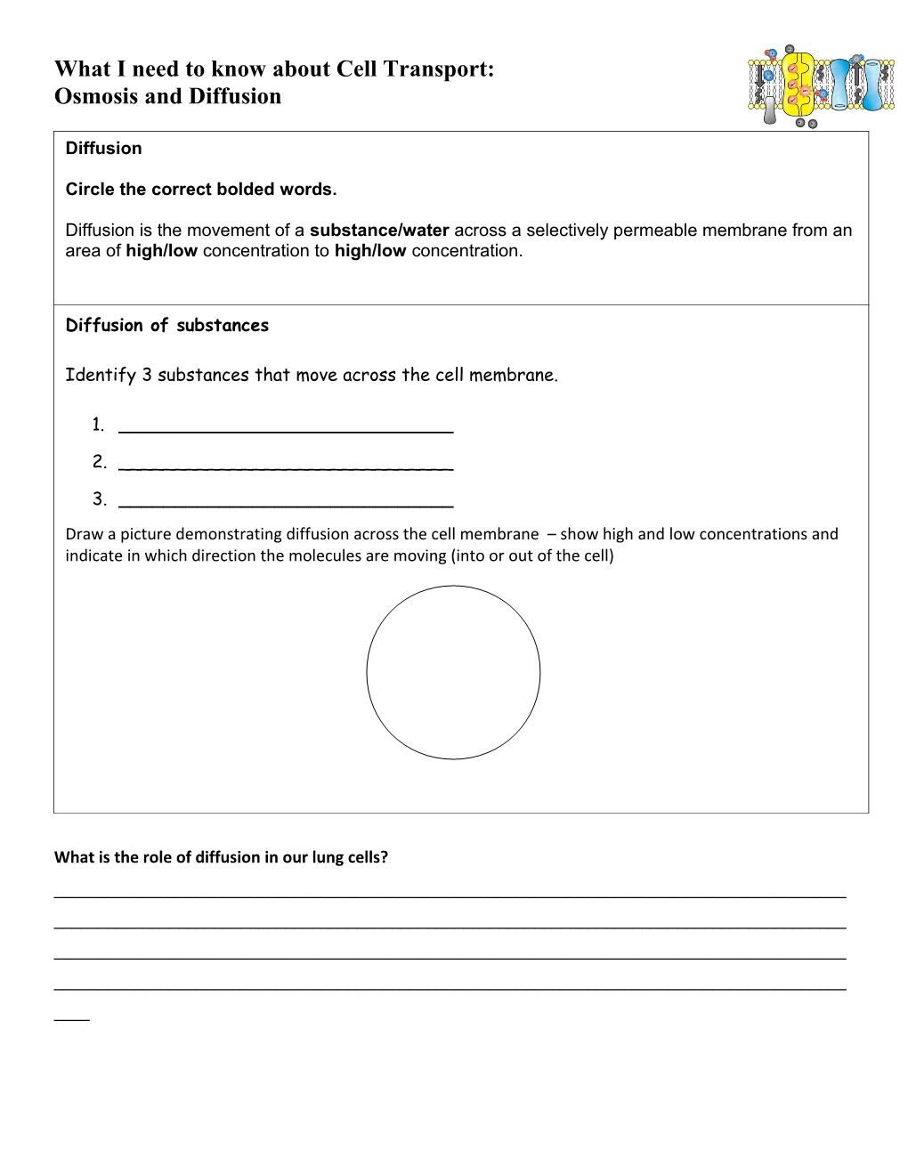 What I Need to Know About Nucleic Acids, Osmosis and Diffusion, and Homeostasis