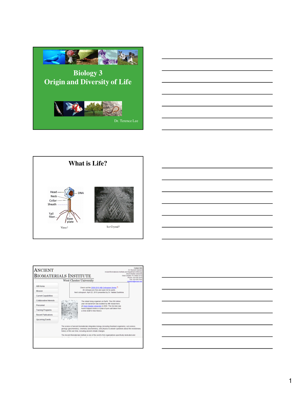 Biology 3 Origin and Diversity of Life