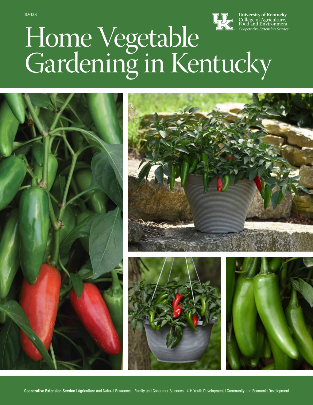 ID-128: Home Vegetable Gardening in Kentucky, 2021