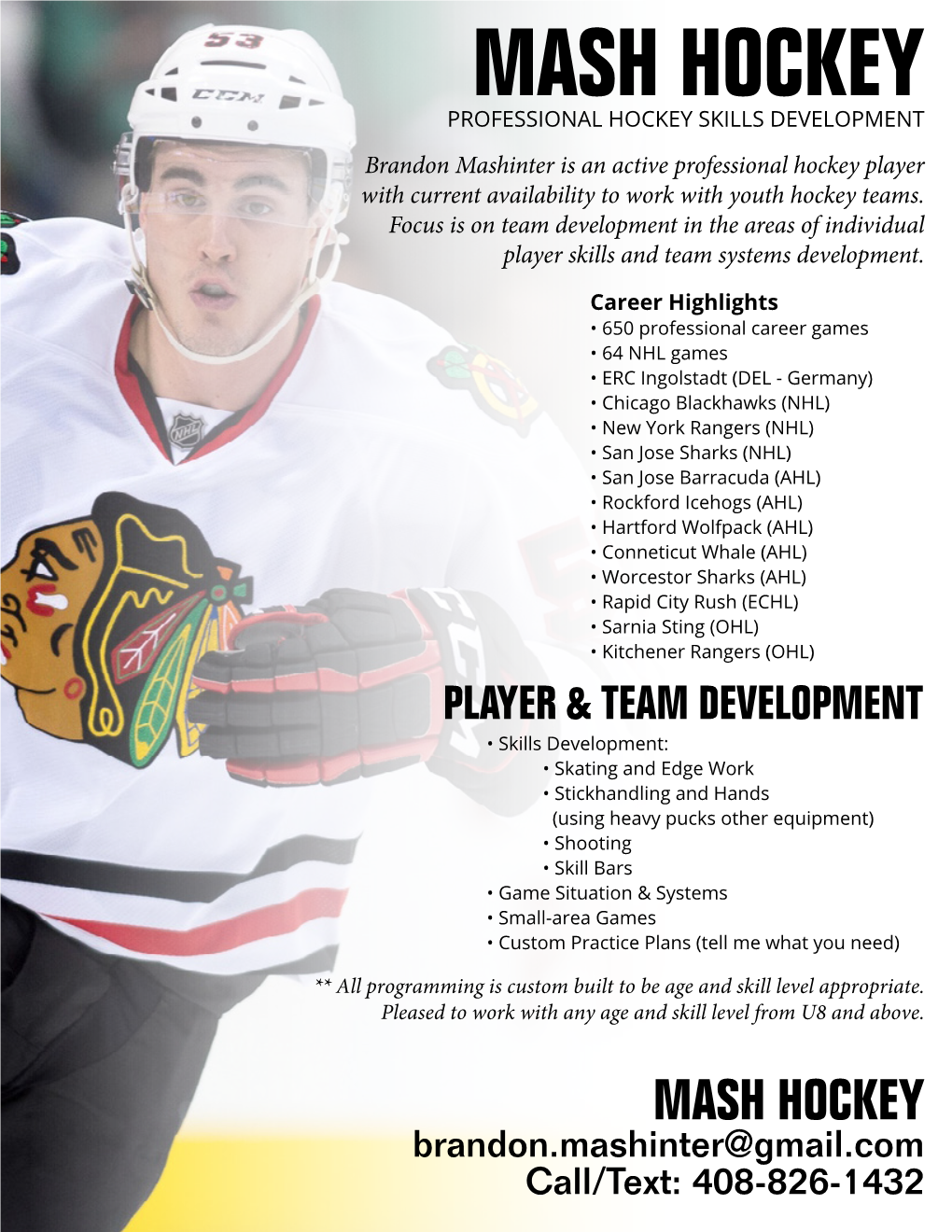 MASH HOCKEY PROFESSIONAL HOCKEY SKILLS DEVELOPMENT Brandon Mashinter Is an Active Professional Hockey Player with Current Availability to Work with Youth Hockey Teams