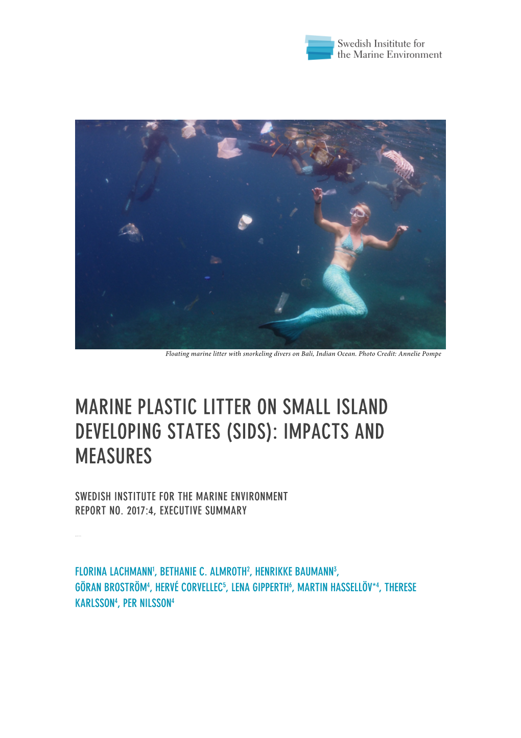 Marine Plastic Litter on Small Island Developing States (Sids): Impacts And