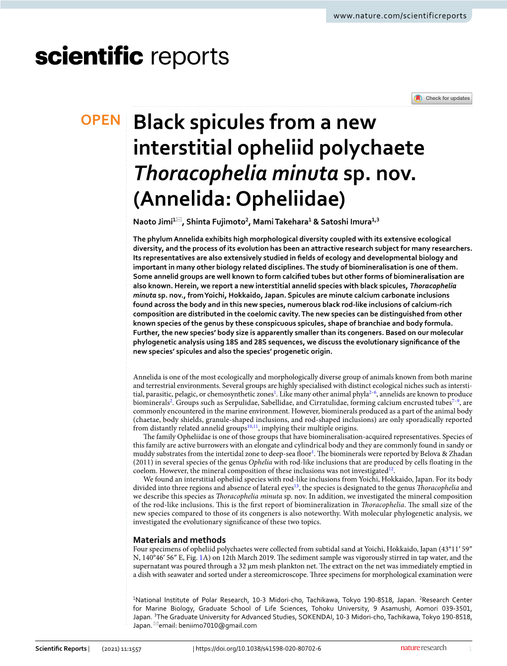 Black Spicules from a New Interstitial Opheliid Polychaete Thoracophelia Minuta Sp