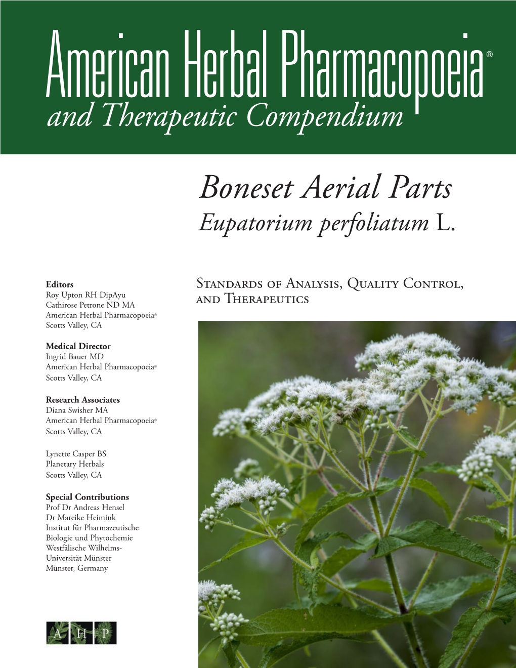 Boneset Aerial Parts Eupatorium Perfoliatum L