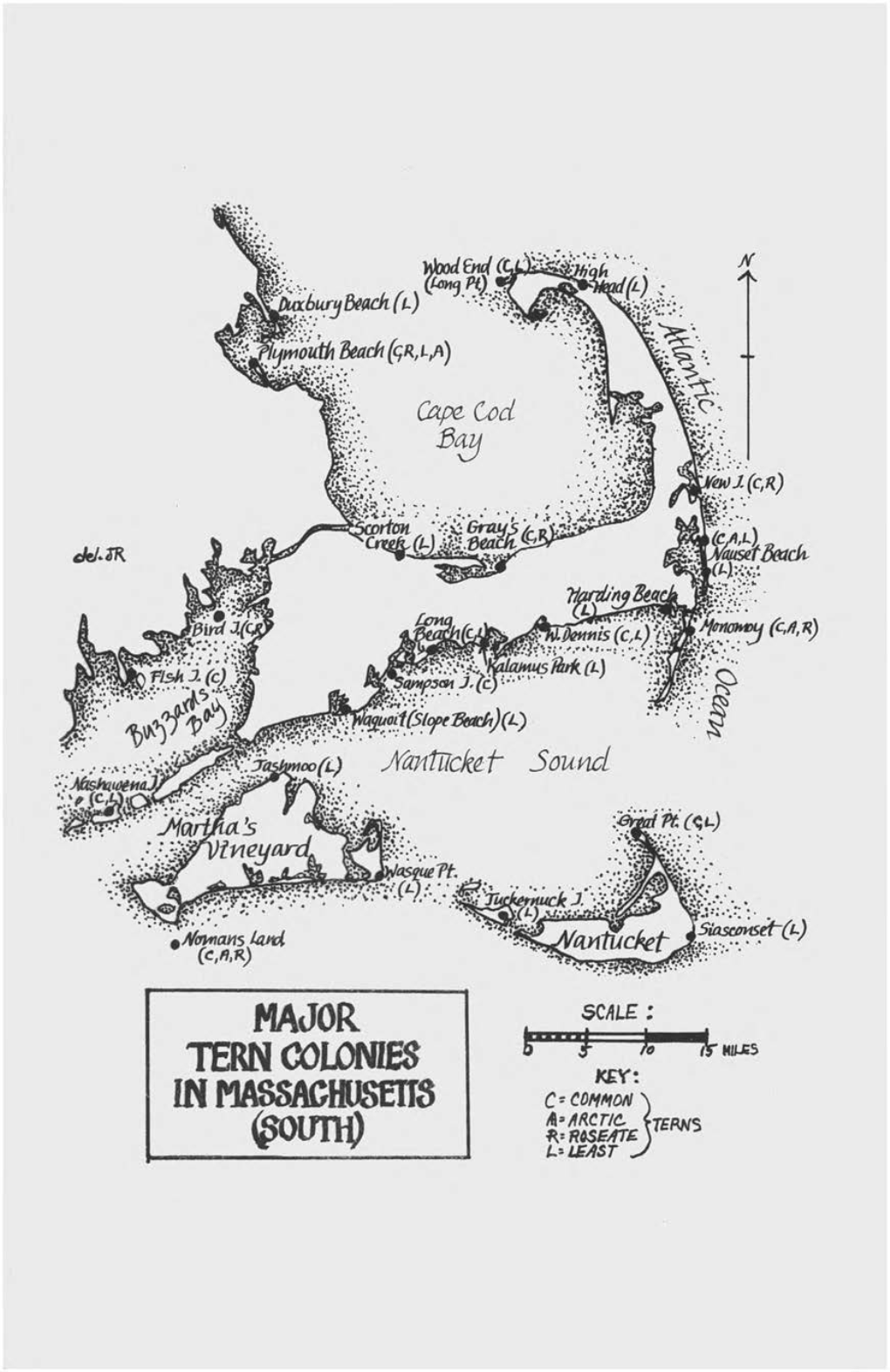 TERN COLONIES in Massachusens