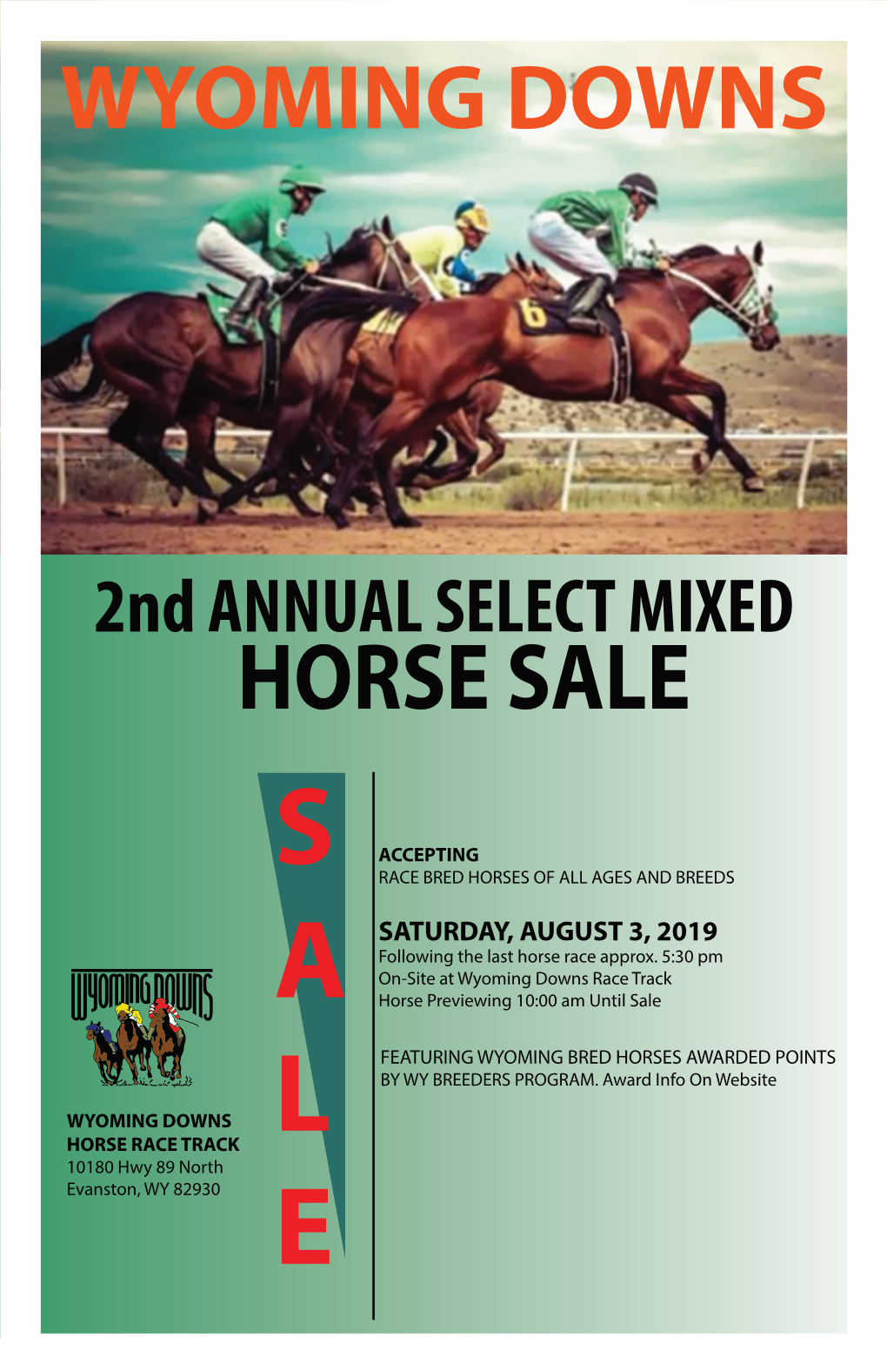 Wyoming Downs Select Mixed Horse Sale