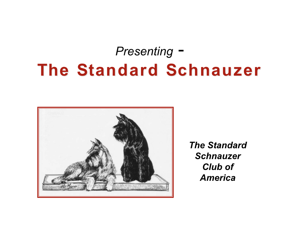 Presenting the Standard Schnauzer