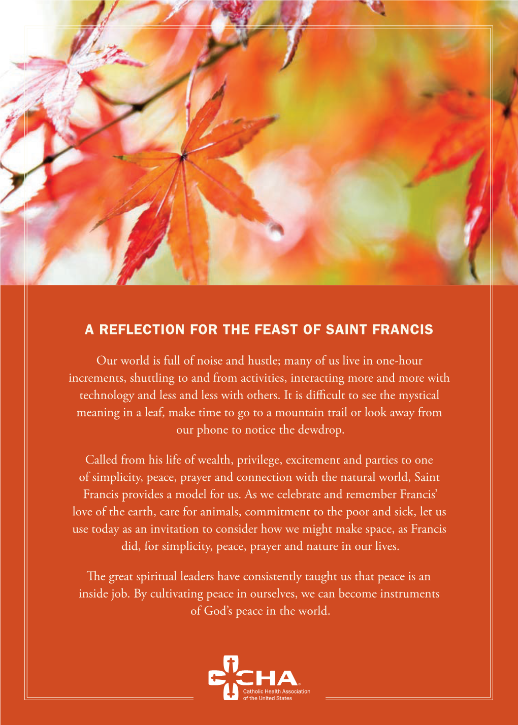 A Reflection for the Feast of Saint Francis