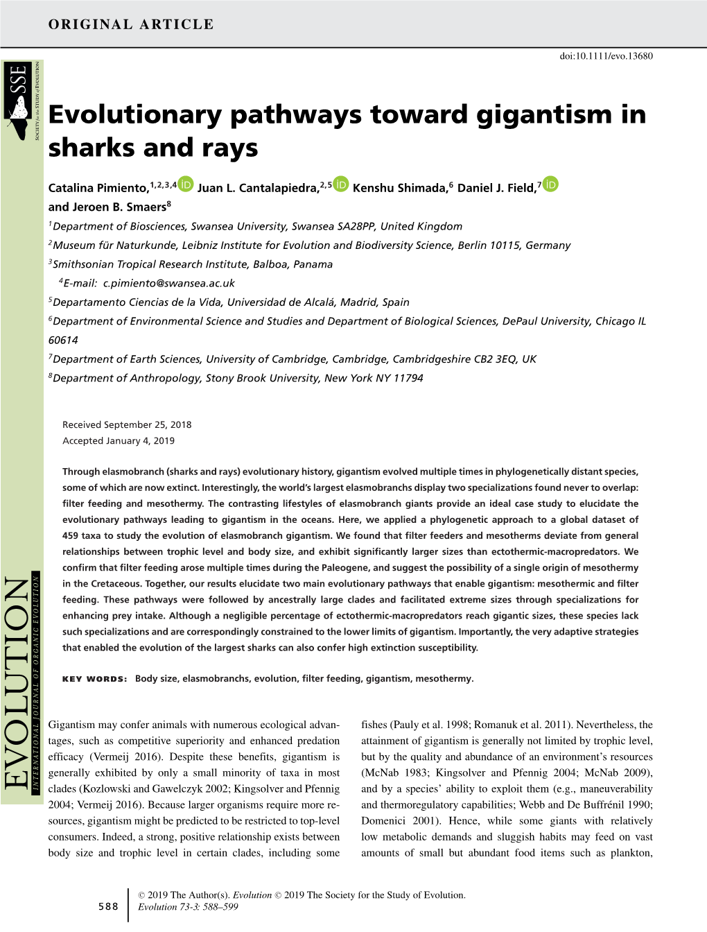 Evolutionary Pathways Toward Gigantism in Sharks and Rays