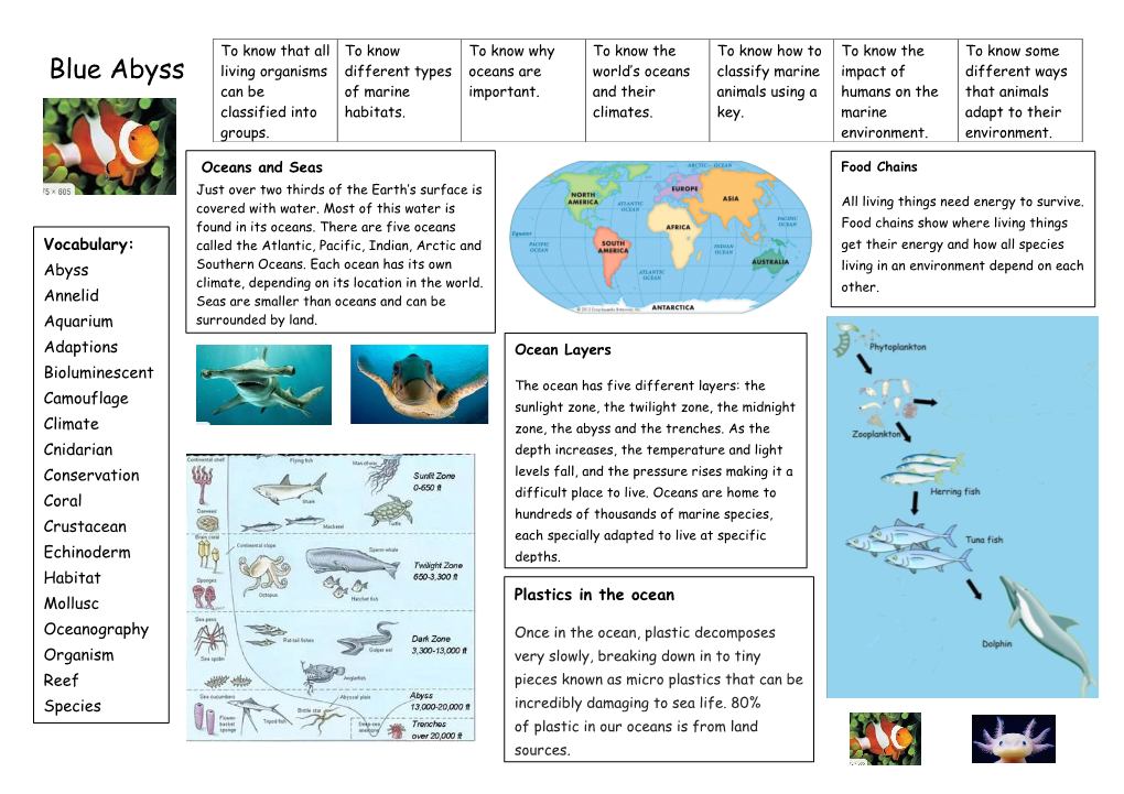 Blue Abyss Living Organisms Different Types Oceans Are World’S Oceans Classify Marine Impact of Different Ways Can Be of Marine Important