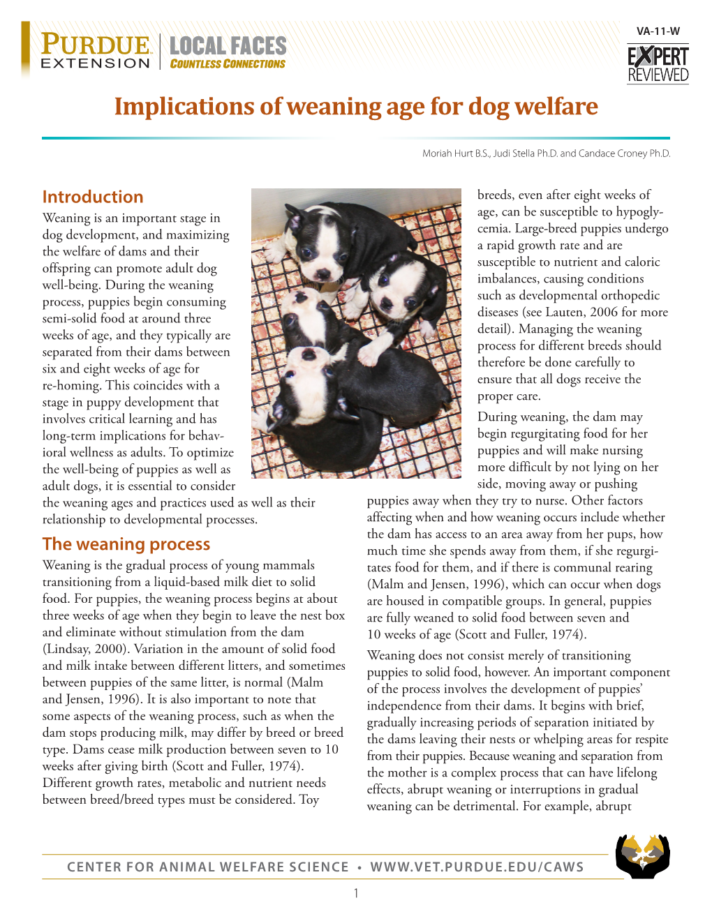 Implications of Weaning Age for Dog Welfare