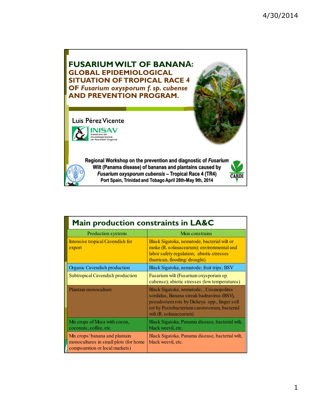 FUSARIUM WILT of BANANA: Main Production Constraints in LA&C