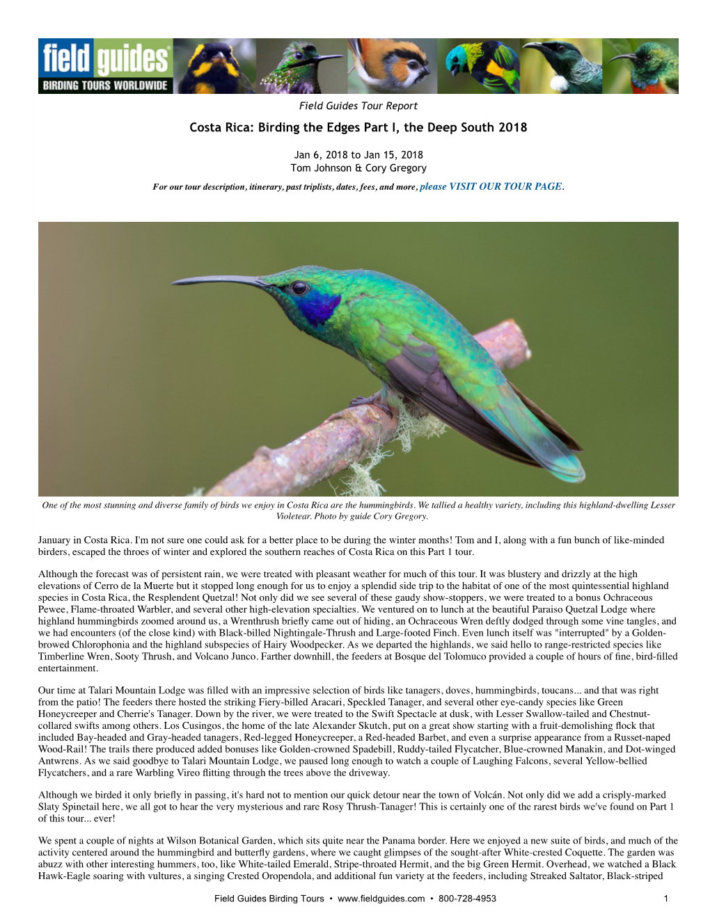 Costa Rica: Birding the Edges Part I, the Deep South 2018