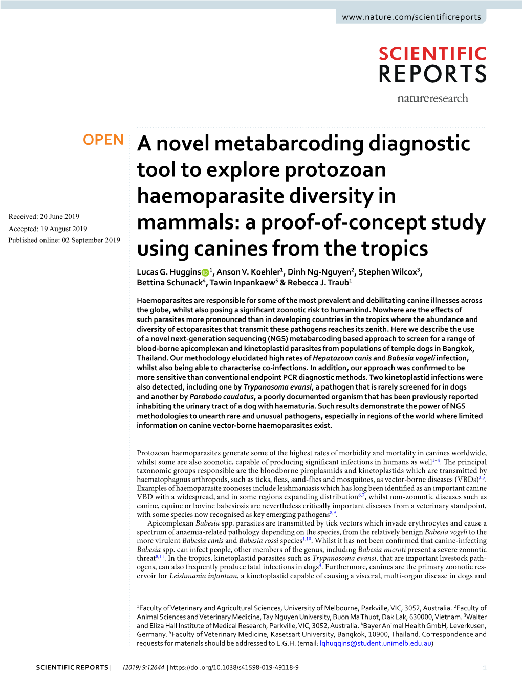 A Novel Metabarcoding Diagnostic Tool to Explore Protozoan