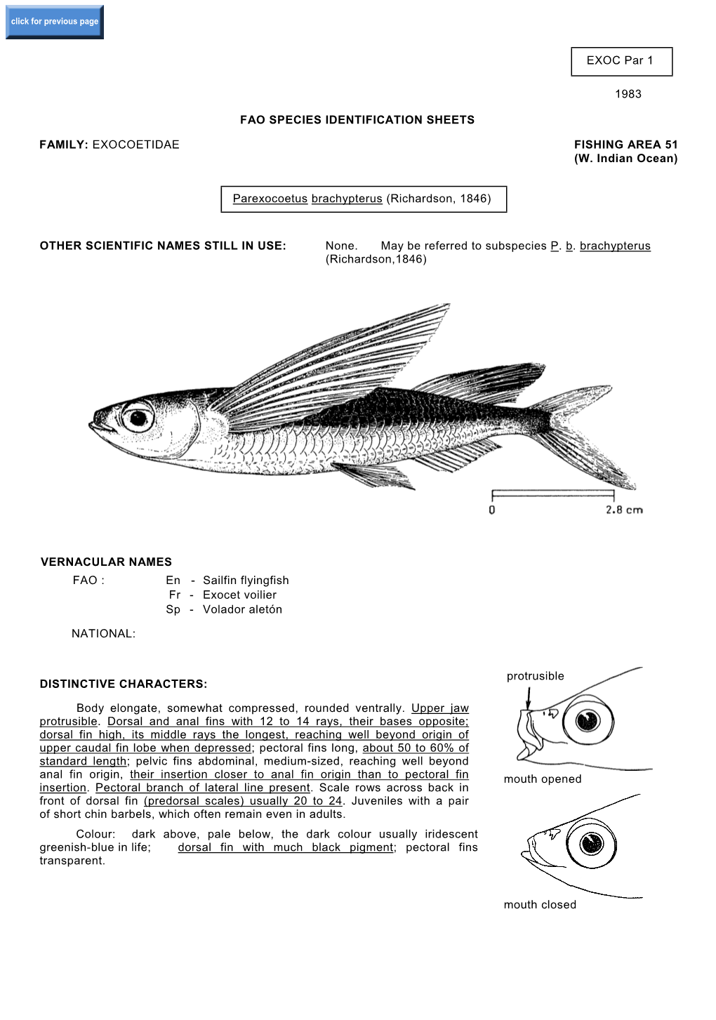 EXOC Par 1 1983 FAO SPECIES IDENTIFICATION SHEETS FAMILY