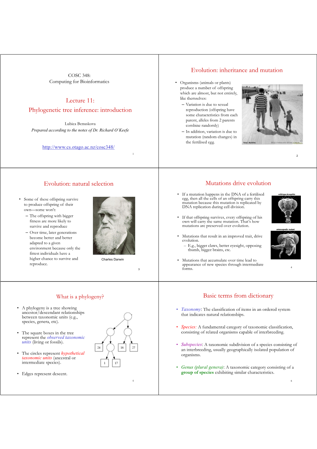 Lecture 11: Phylogenetic Tree Inference: Introduction Evolution