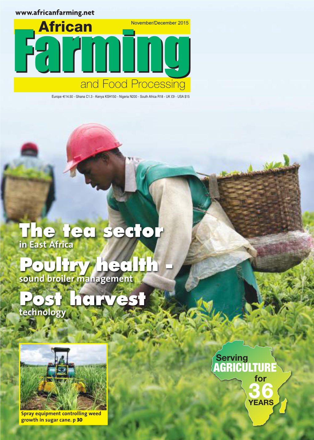 The Tea Sector Poultry Health