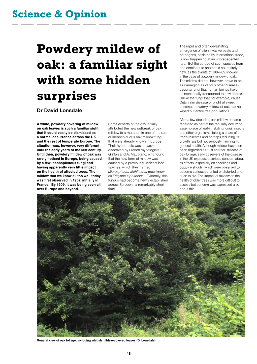 Powdery Mildew of Oak: a Familiar Sight with Some Hidden Surprises
