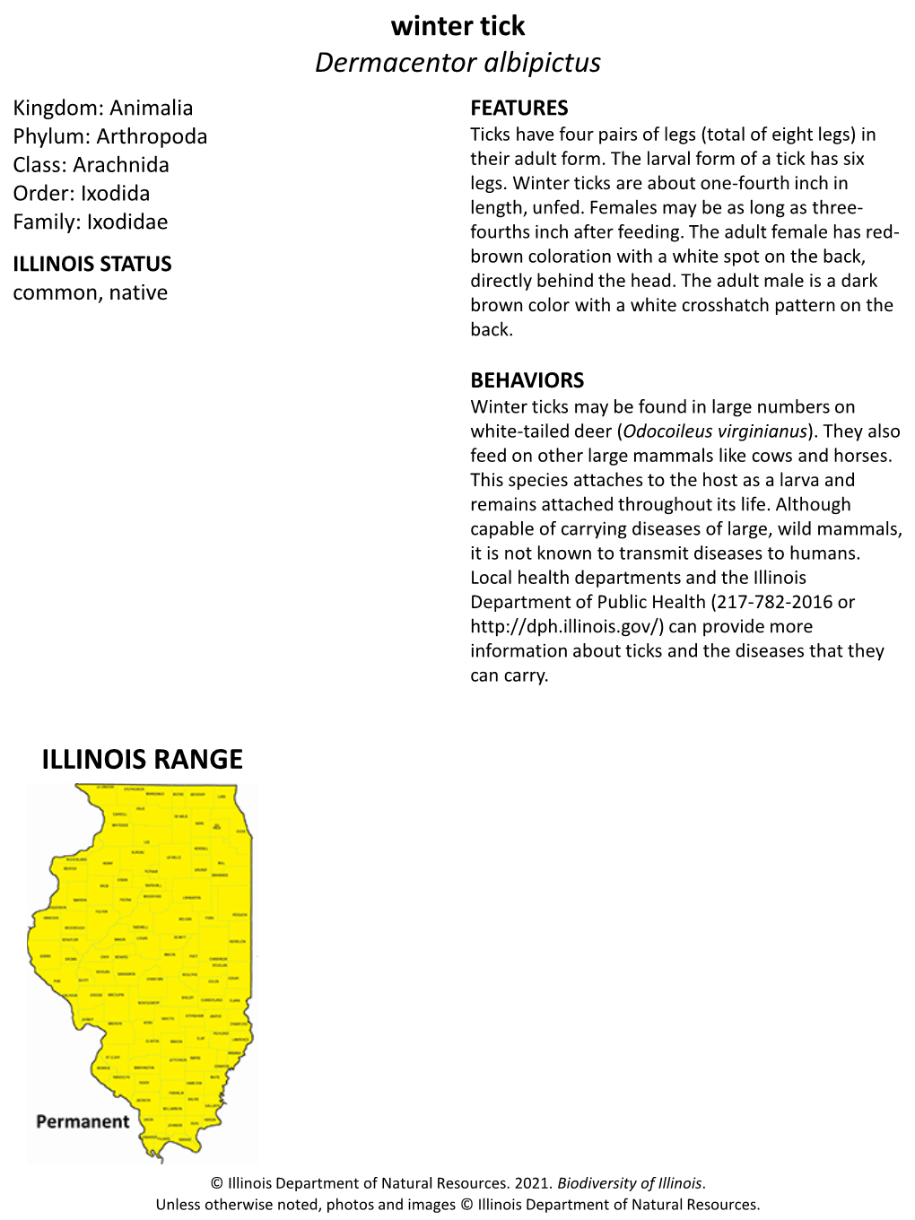 Winter Tick Dermacentor Albipictus ILLINOIS RANGE