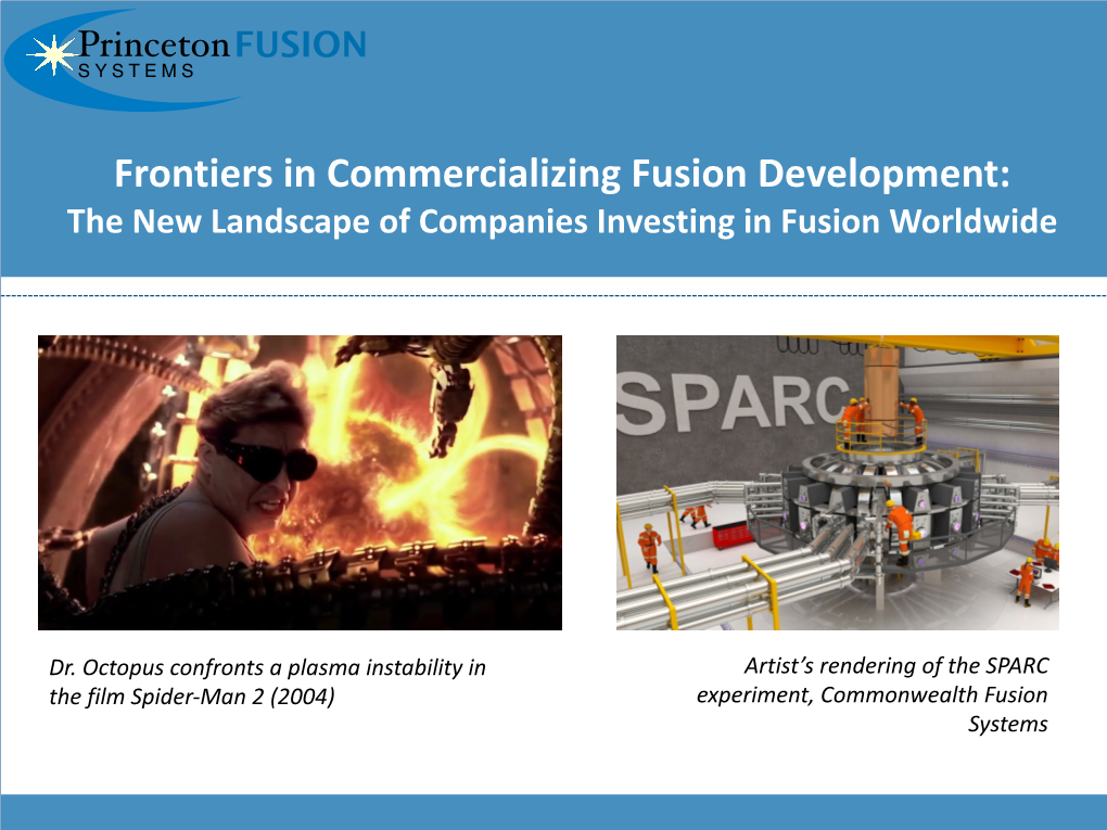 Frontiers in Commercializing Fusion Development: the New Landscape of Companies Investing in Fusion Worldwide