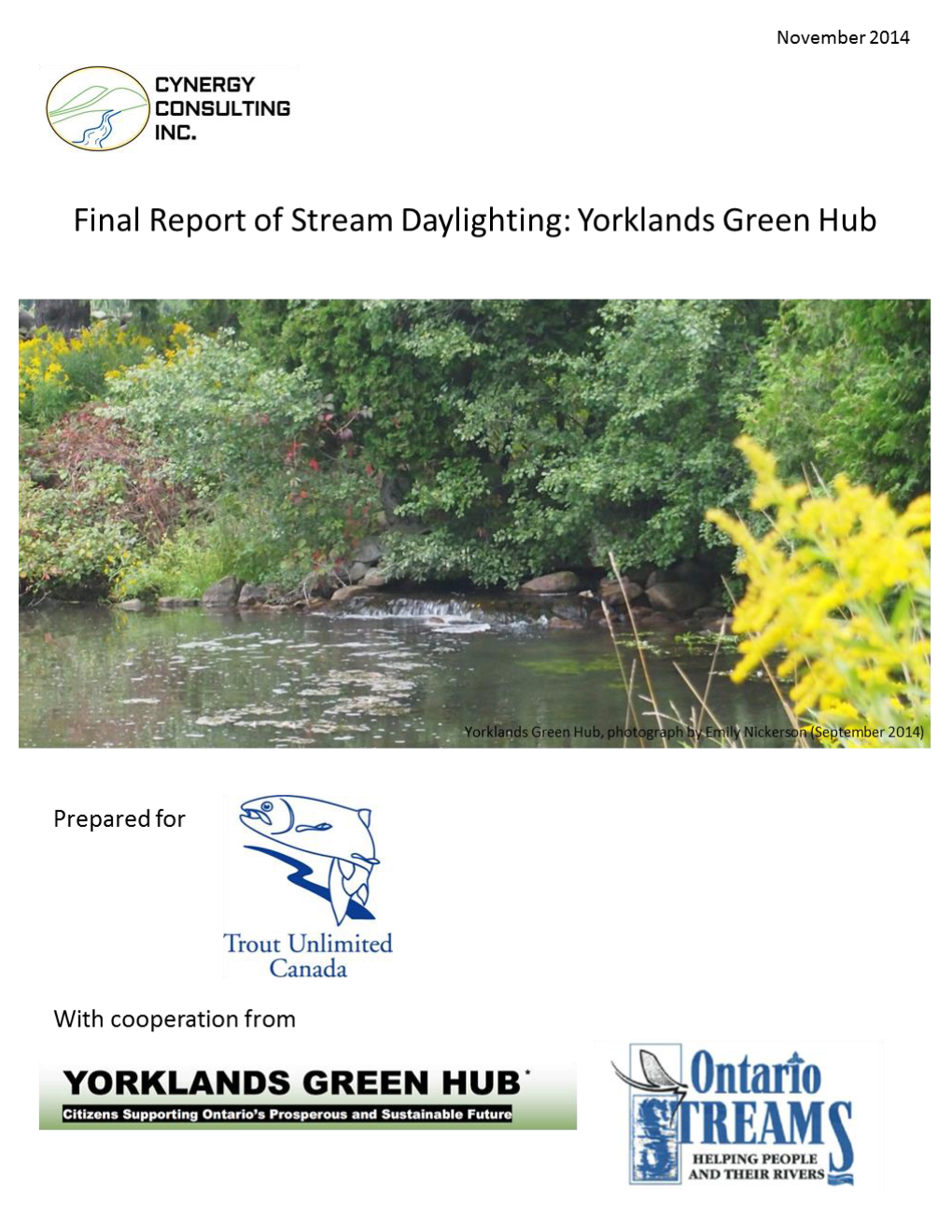 Final Report of Stream Daylighting