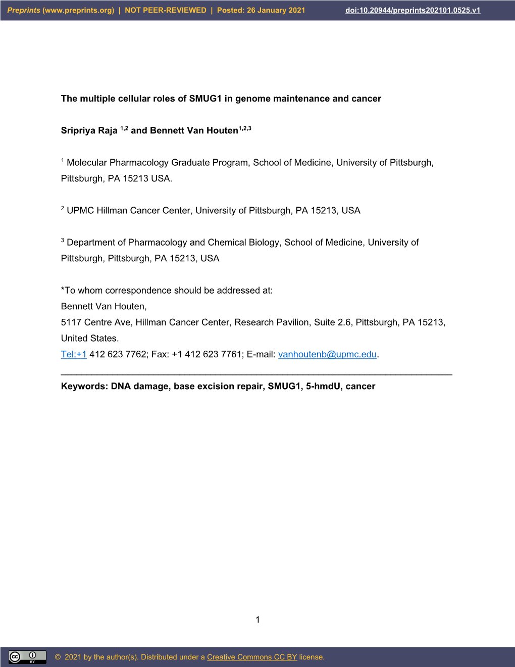 1 the Multiple Cellular Roles of SMUG1 in Genome Maintenance And