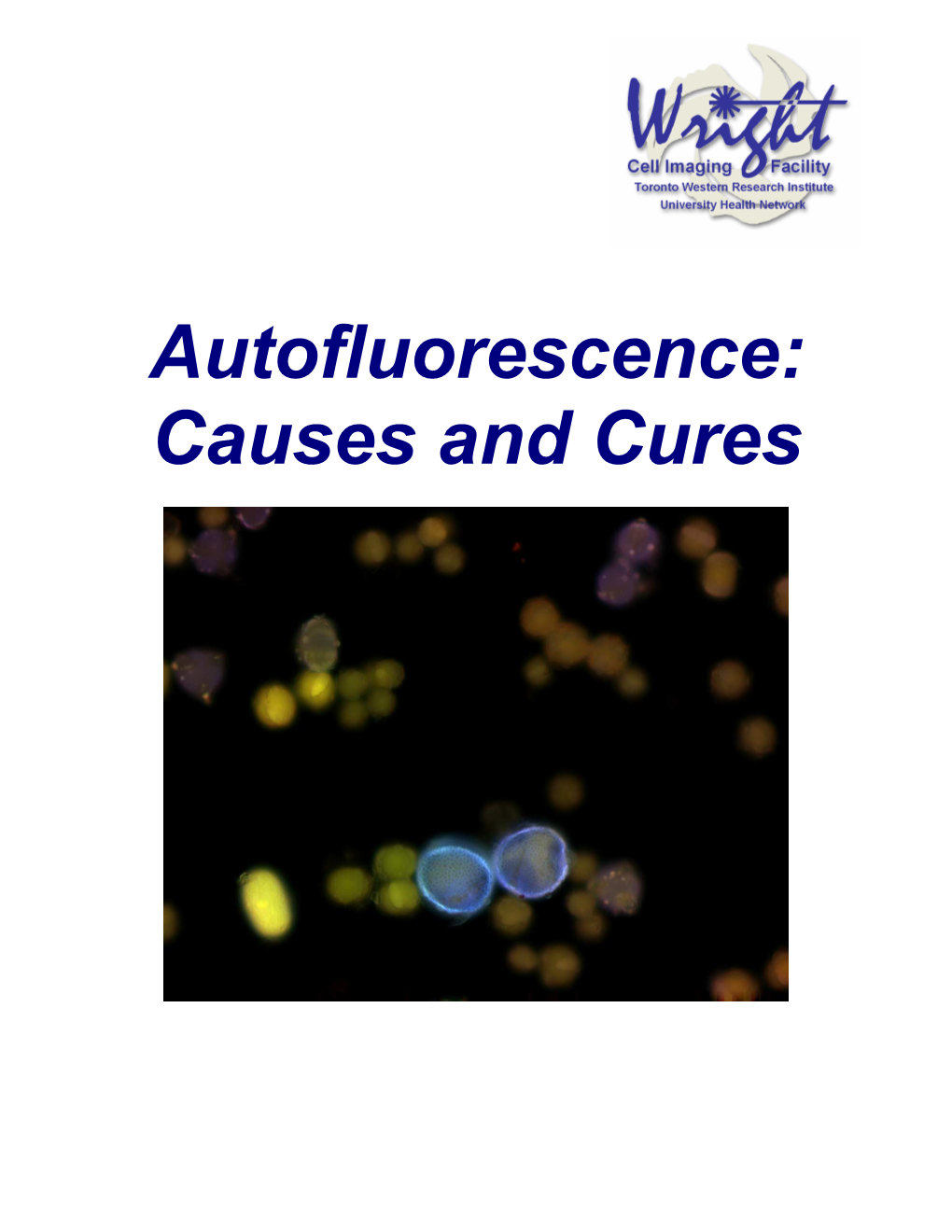 Autofluorescence: Causes and Cures