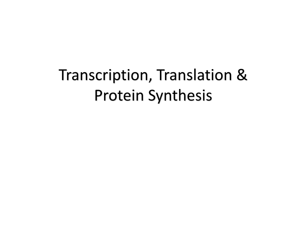 Transcription, Translation & Protein Synthesis