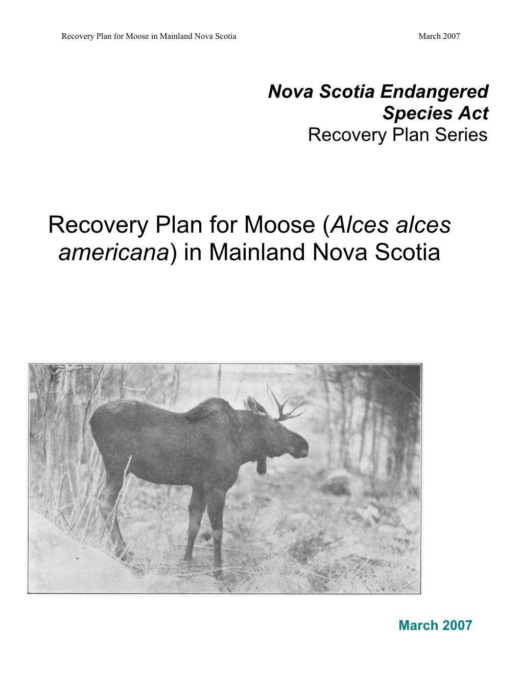 Recovery Plan for Moose (Alces Alces Americana) in Mainland Nova Scotia