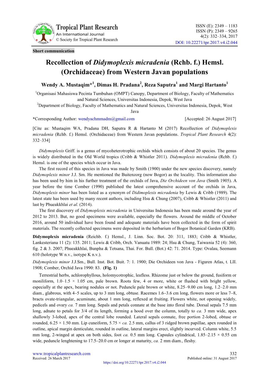 Recollection of Didymoplexis Micradenia (Rchb.F.) Hemsl