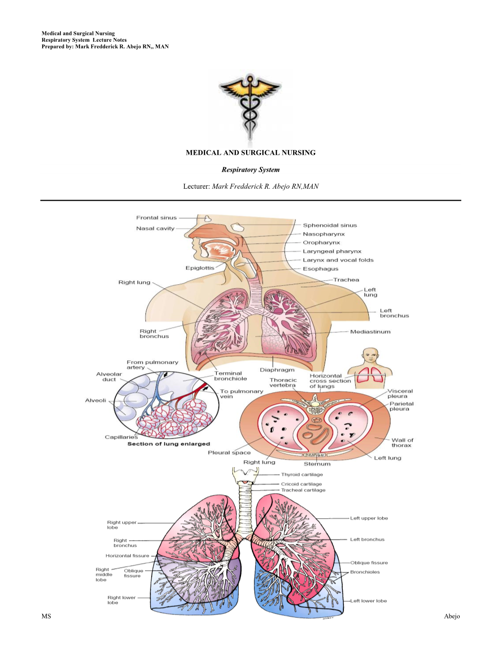 MEDICAL and SURGICAL NURSING Respiratory System Lecturer: Mark