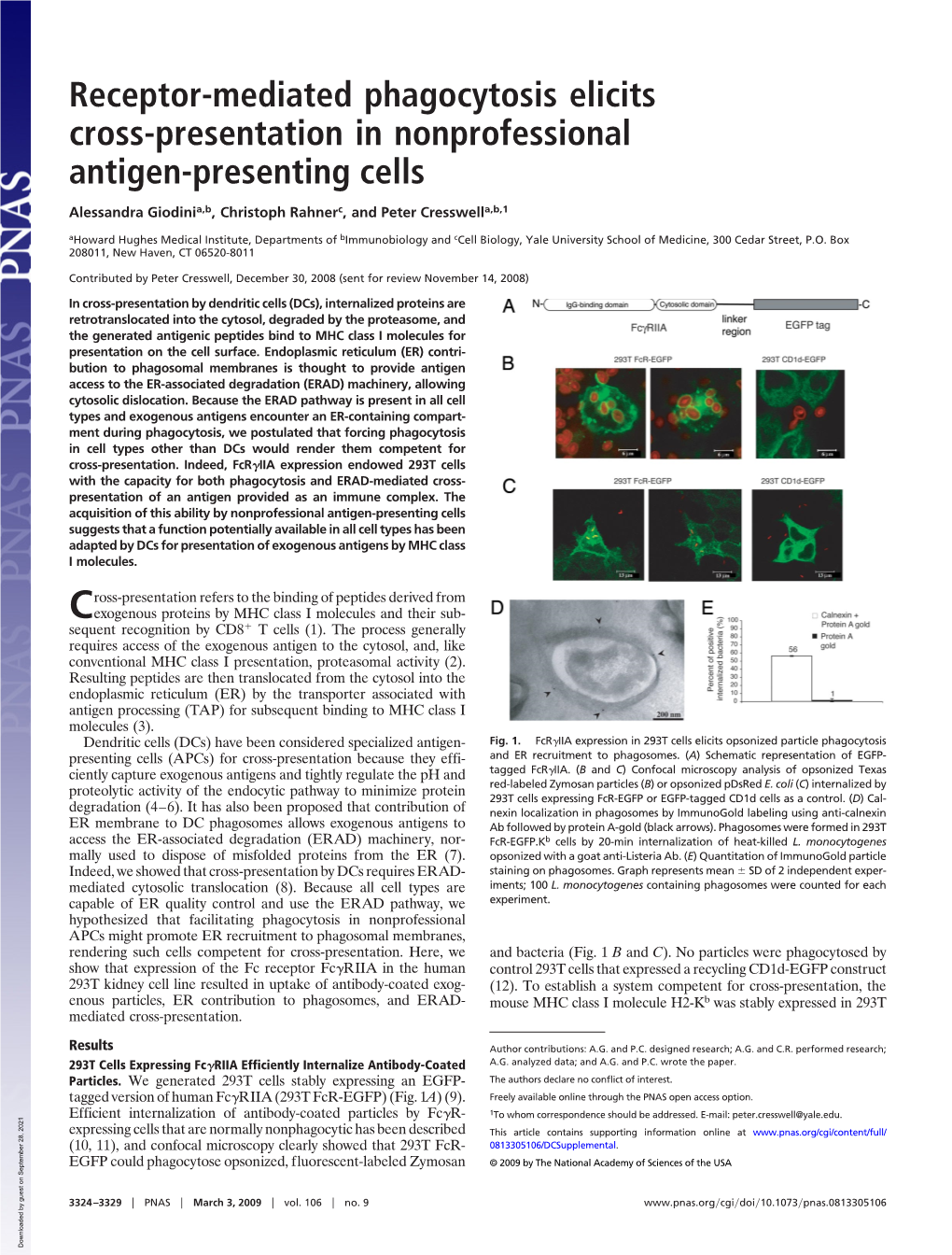 Receptor-Mediated Phagocytosis Elicits Cross-Presentation in Nonprofessional Antigen-Presenting Cells