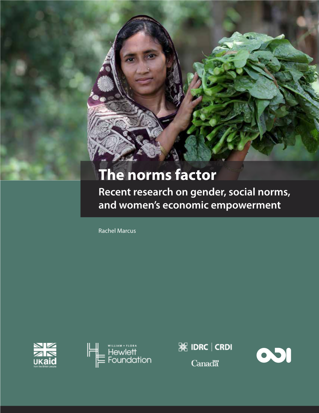 The Norms Factor: Recent Research on Gender, Social Norms, and Women's