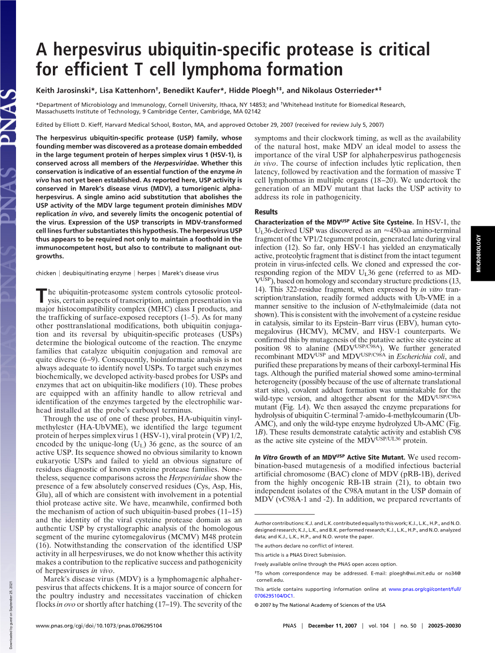 A Herpesvirus Ubiquitin-Specific Protease Is Critical for Efficient T Cell Lymphoma Formation