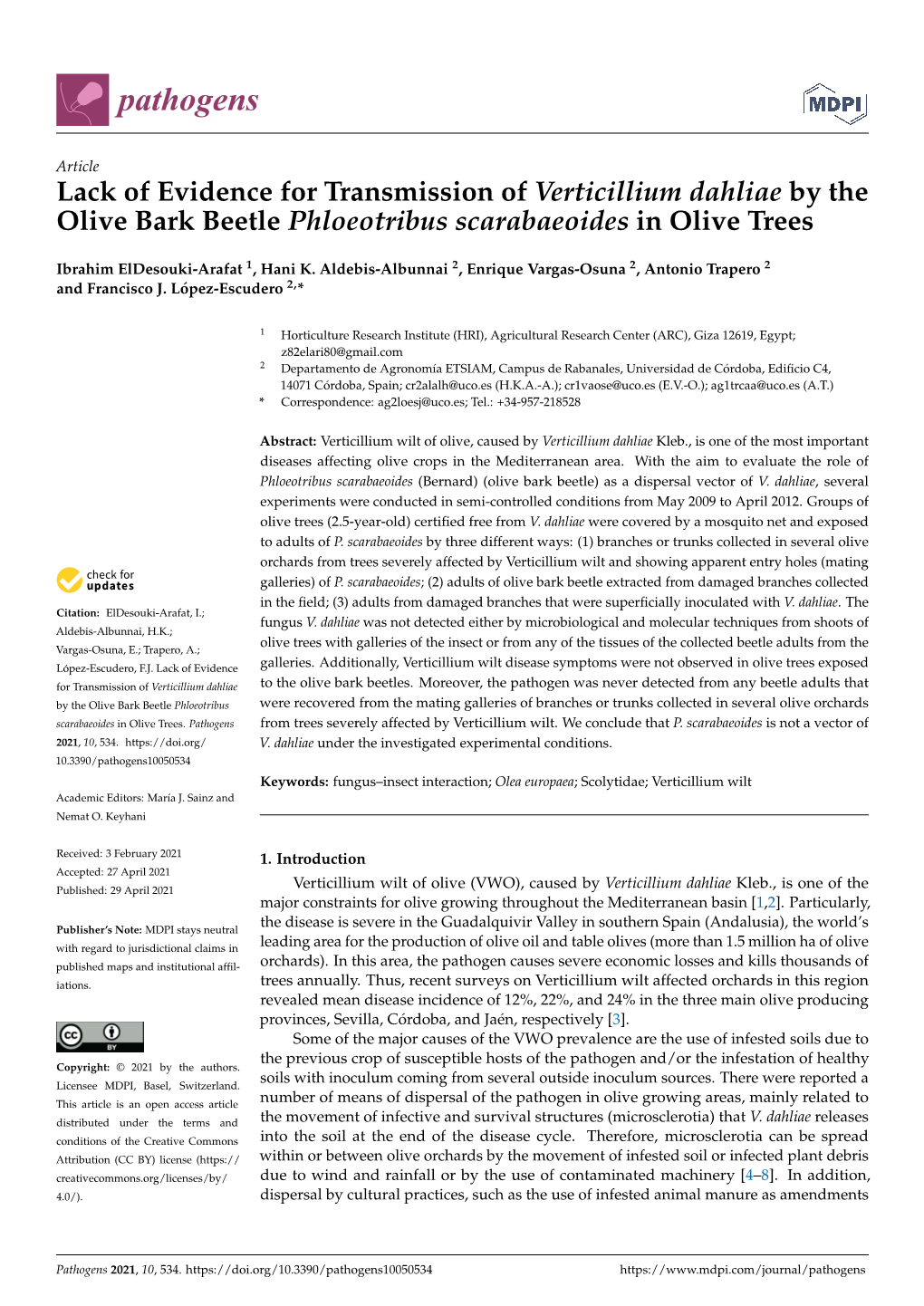 Lack of Evidence for Transmission of Verticillium Dahliae by the Olive Bark Beetle Phloeotribus Scarabaeoides in Olive Trees