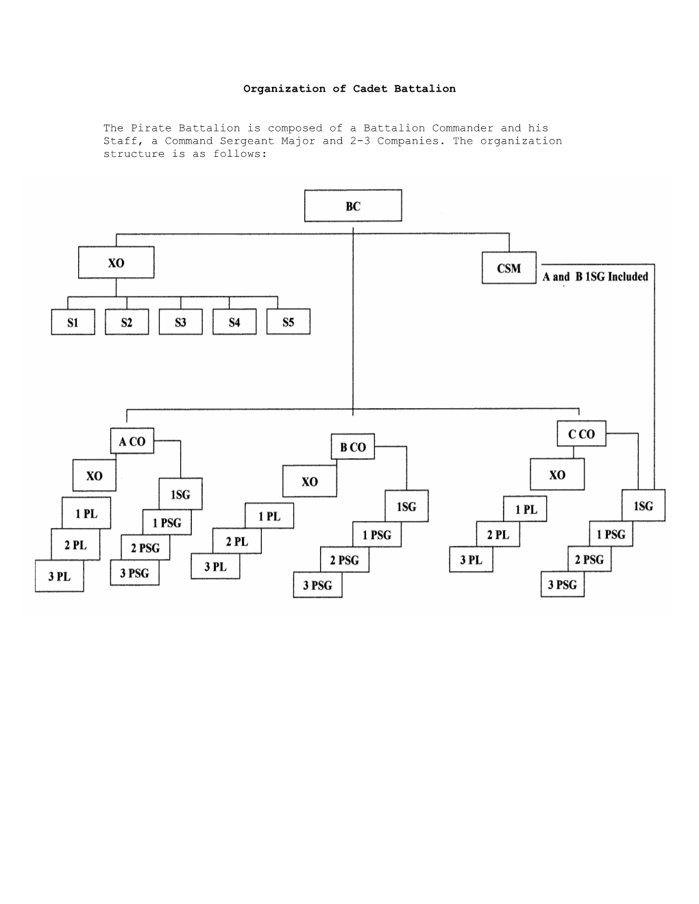 Organization of Cadet Battalion the Pirate Battalion Is Composed of A