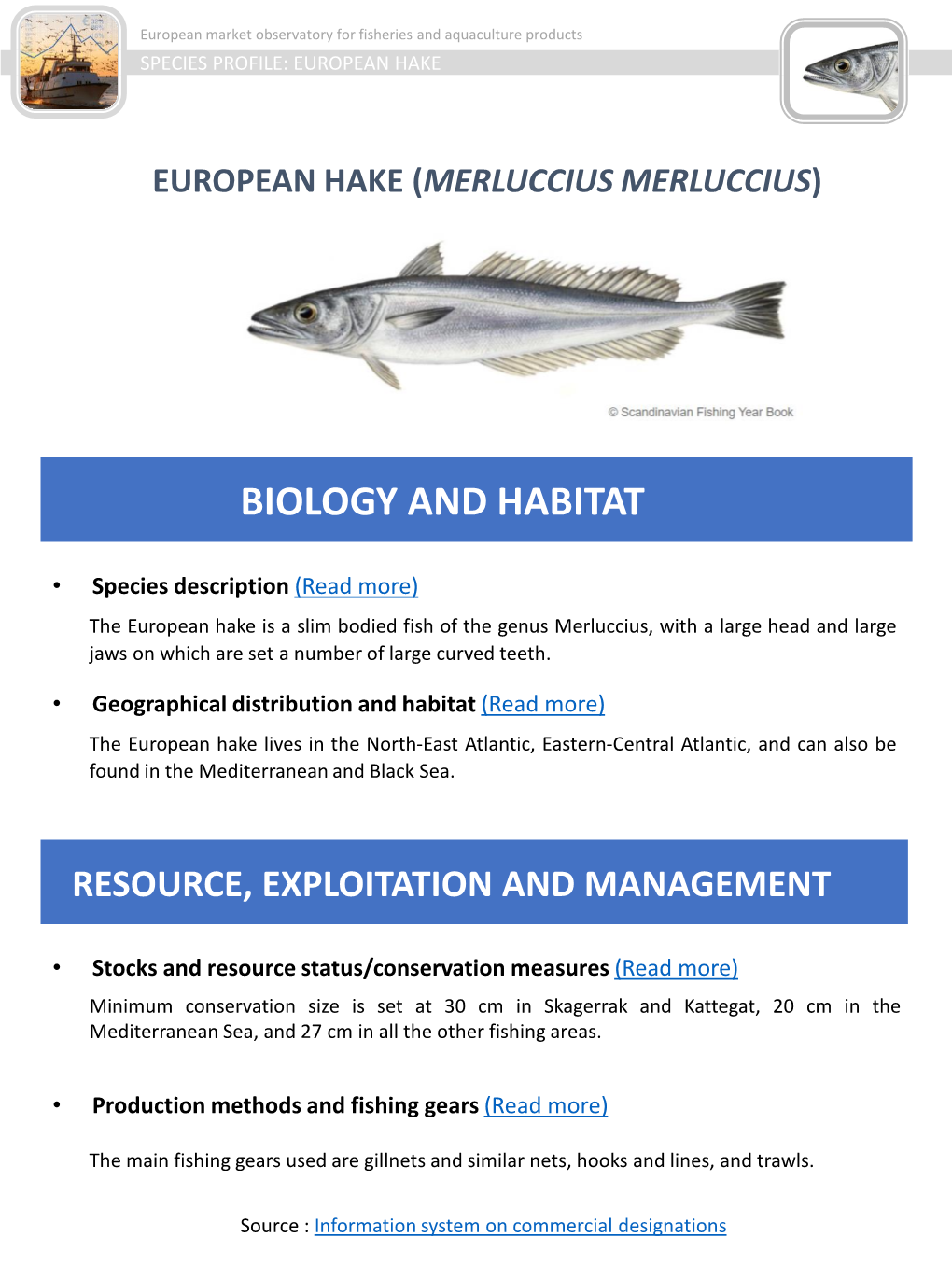 European Hake