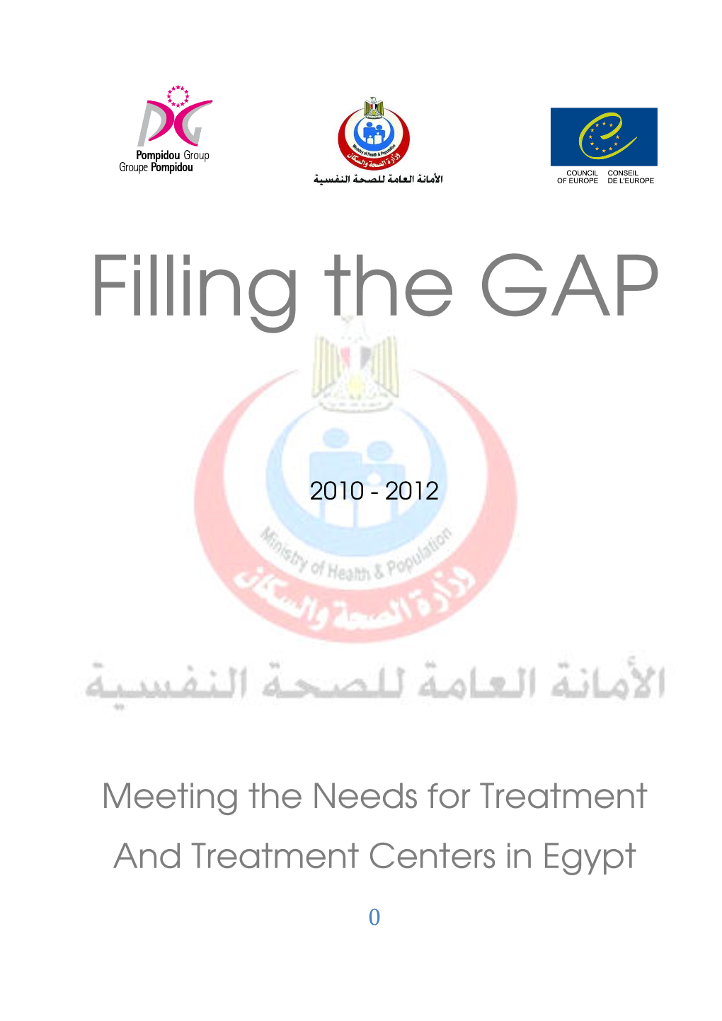 Meeting the Needs for Treatment and Treatment Centers in Egypt