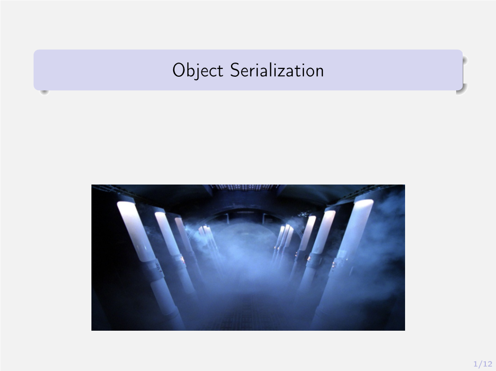 Object Serialization