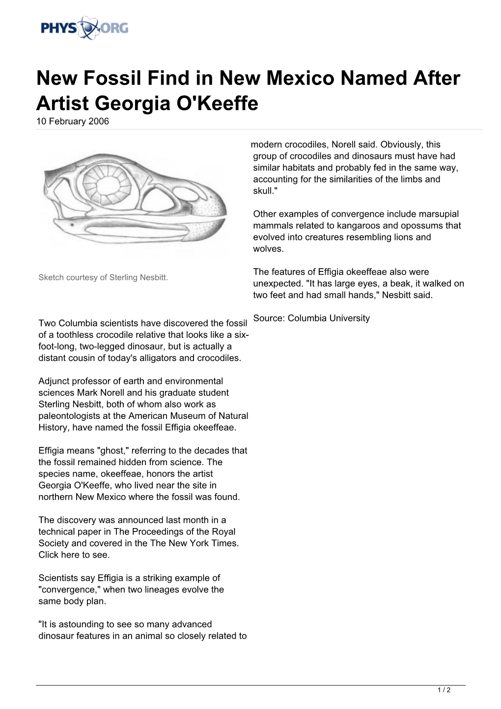 New Fossil Find in New Mexico Named After Artist Georgia O'keeffe 10 February 2006