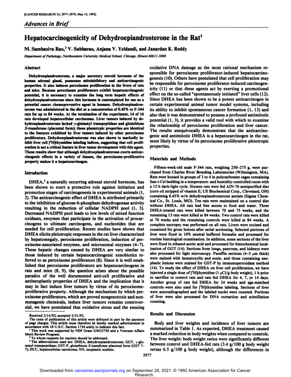 Hepatocarcinogenicity of Dehydroepiandrosterone in the Rat1