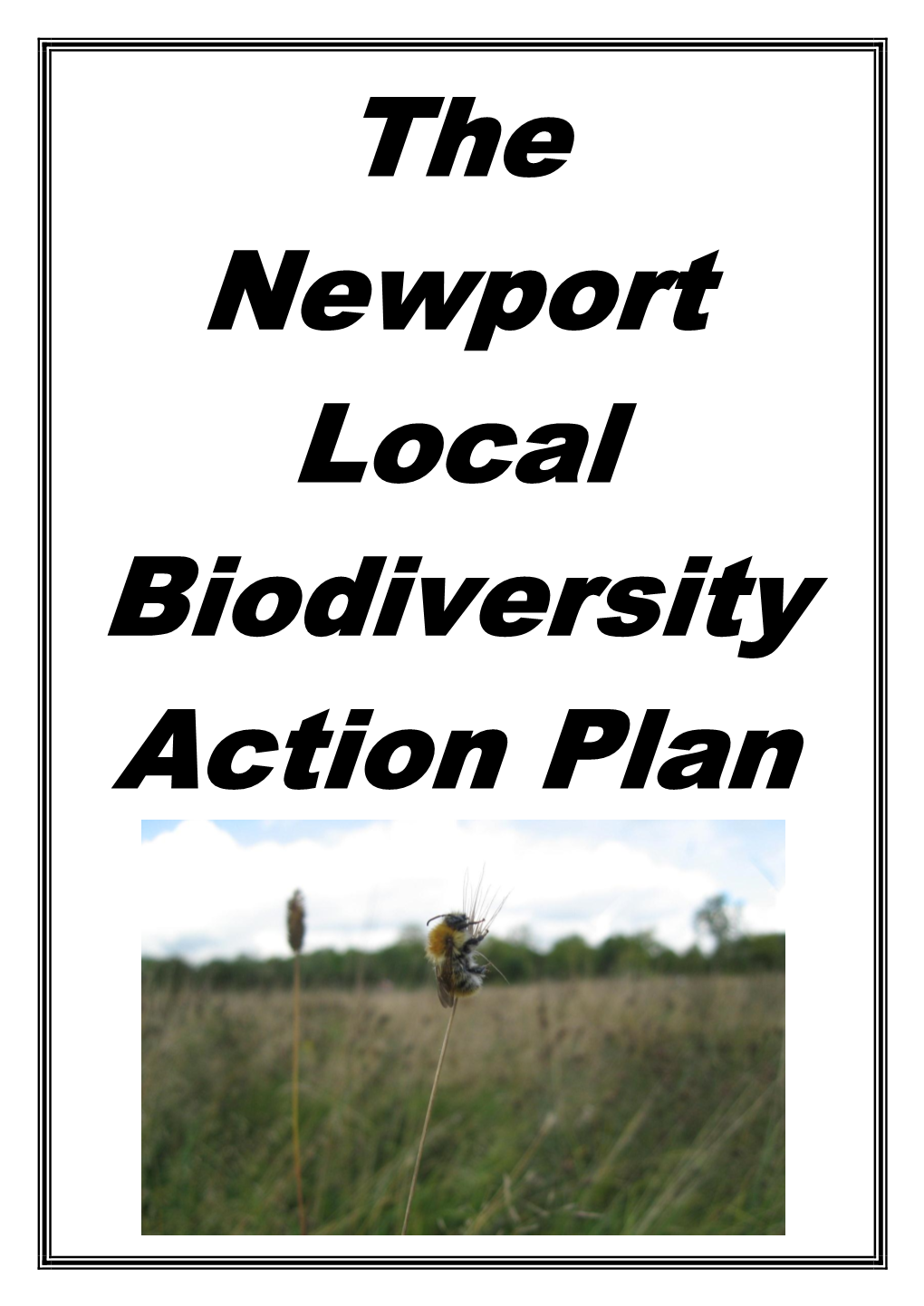 Download Newport's Local Biodiversity Action Plan (LBAP)